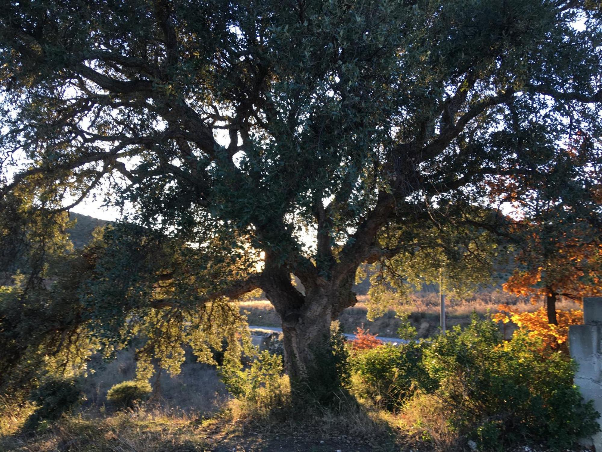 Coeur De Nature Rasigueres Exterior foto